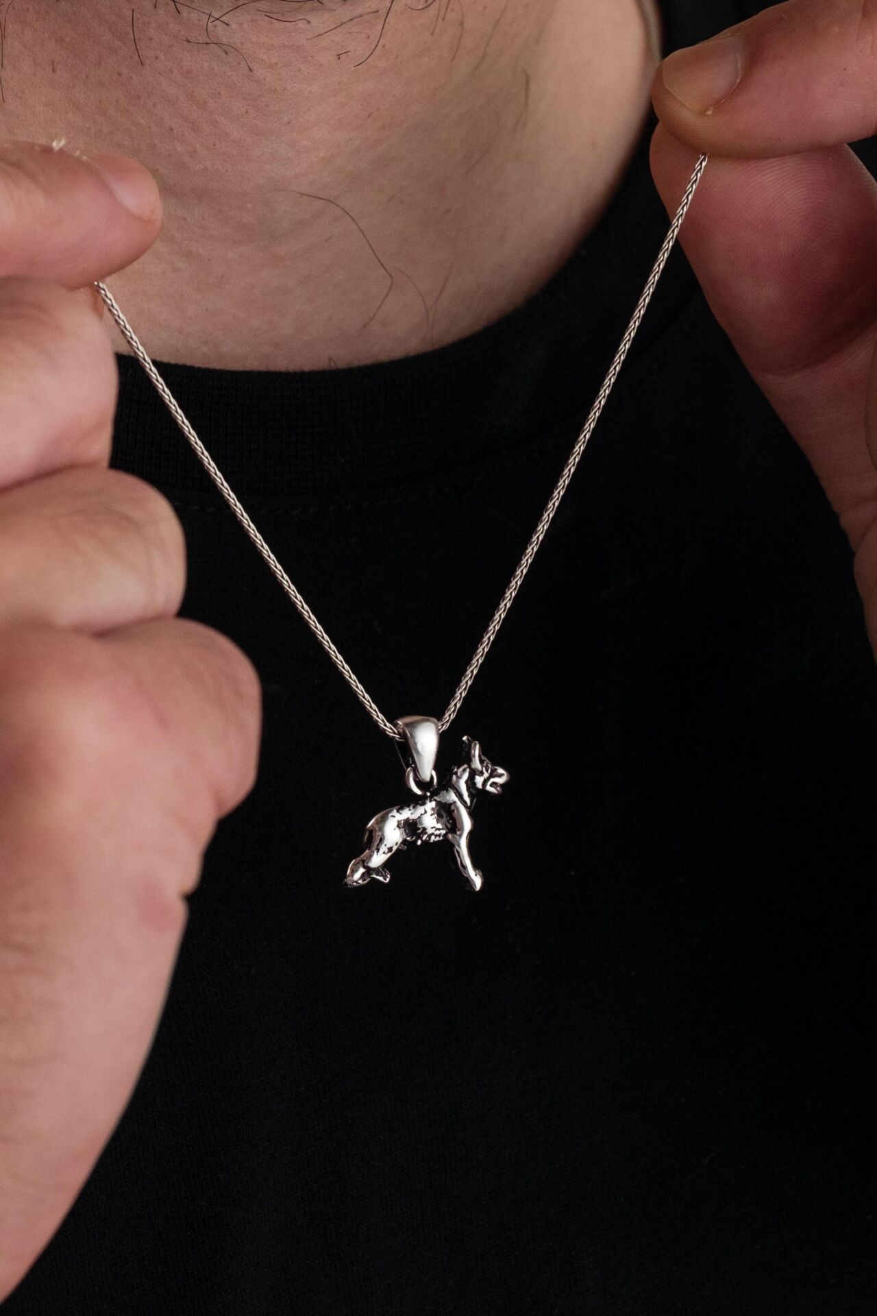 GÜMÜŞ BOZKURT KURT KÖPEK ERKEK KOLYE