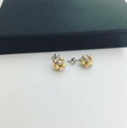 GÜMÜŞ ROSE ALTIN KAPLAMA DORİKA KAFES TOP KÜPE