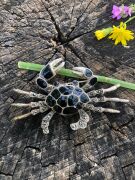 GÜMÜŞ MARKAZİT TAŞLI VE SİYAH MİNE İŞLEMELİ YENGEÇ BROŞ