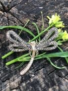 GÜMÜŞ MARKAZİT VE ZİRKON TAŞLI YUSUFÇUK BROŞ