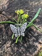 925 AYAR GÜMÜŞ KELEBEK BROŞ