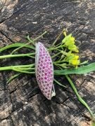 GÜMÜŞ KÖK YAKUT VE ZİRKON TAŞLI BROŞ